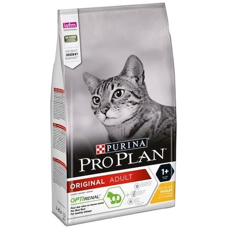 Appetite Kuru Kedi Maması 100 Gr